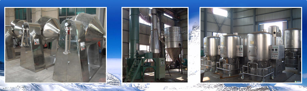 山東龍輝起重機械有限公司 